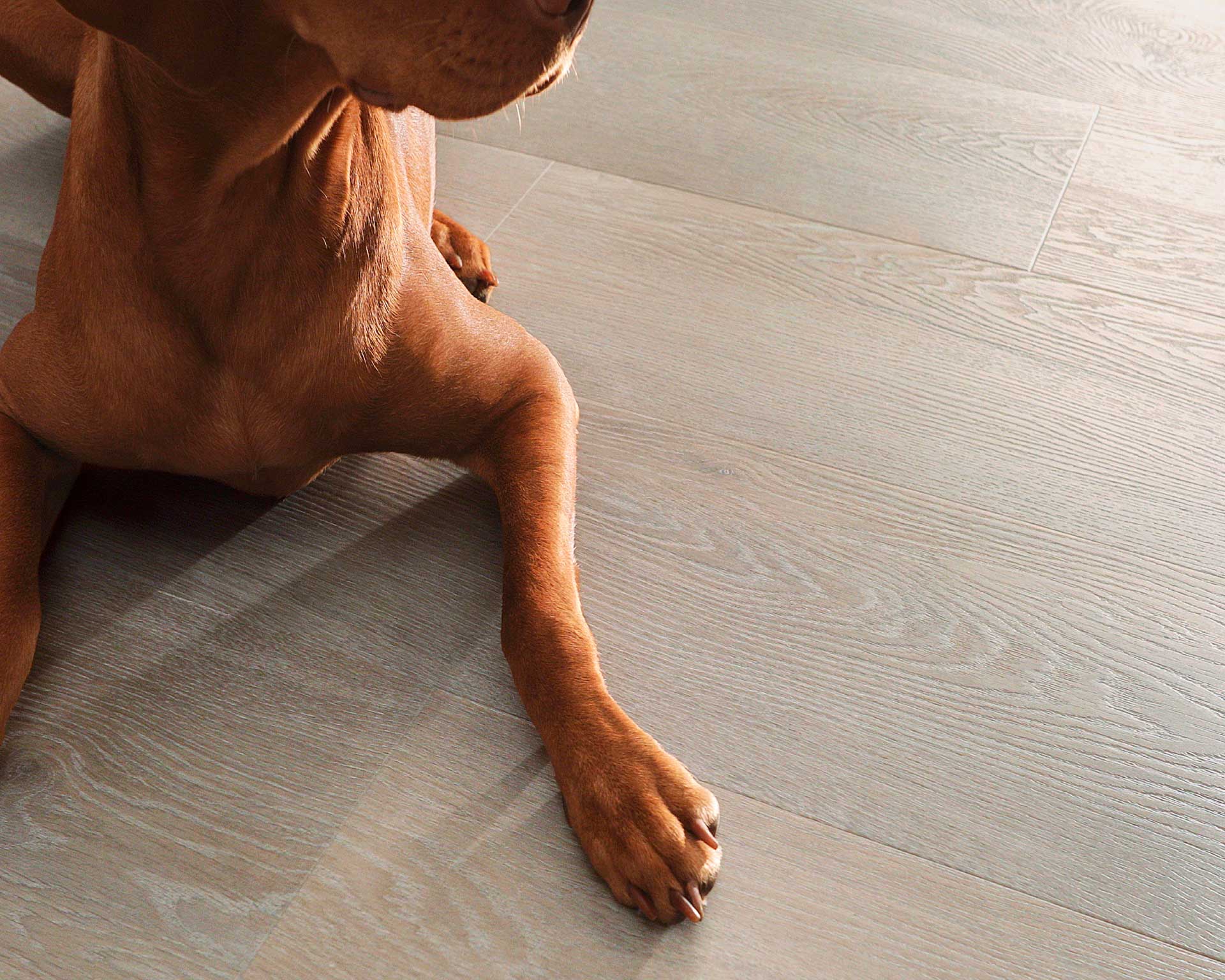 Bolsena_GD55D476524X_1