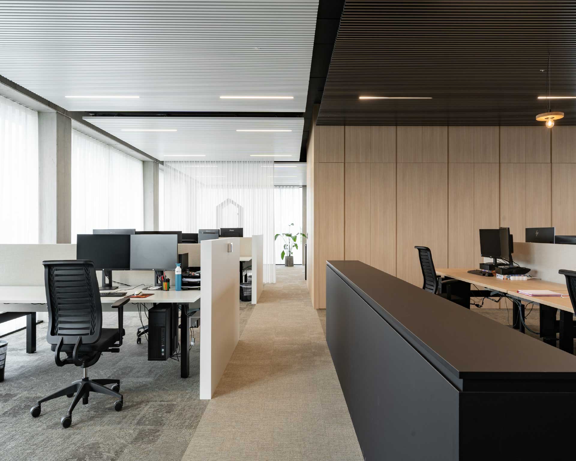 ntgrate-OFFICES-ABICON-BELGIUM_MILO-AMBER-SHY-NTGRATE-HIGHRES_2024_21 (1)